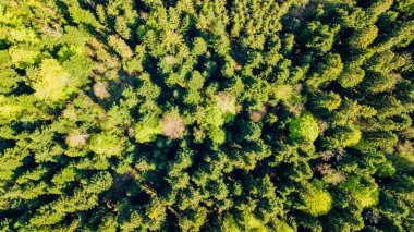 Panoramik pastoral dağ manzarası ile fres Alpleri'nde