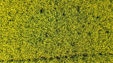 Panoramik pastoral dağ manzarası ile fres Alpleri'nde