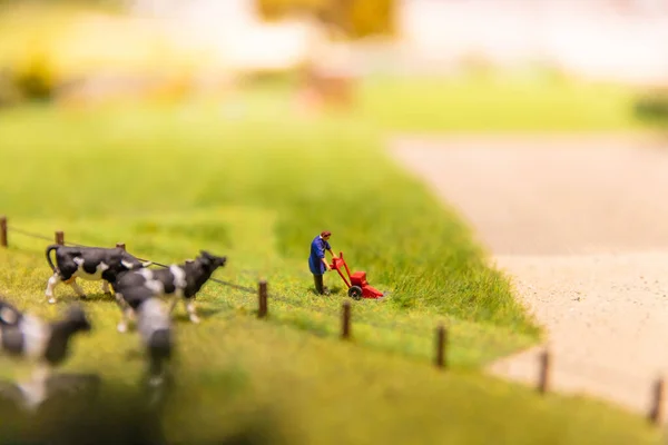 Zwitserland Rheinfelden Februari 2020 Bezoek Aan Miniatuurwereld Van Smilestones — Stockfoto