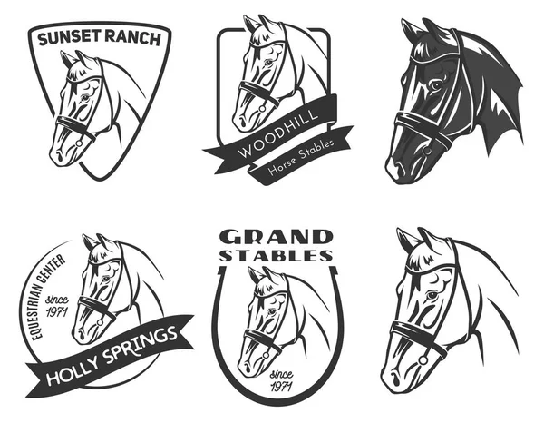 Set of horse head logo, badges and emblems. — Stock Vector