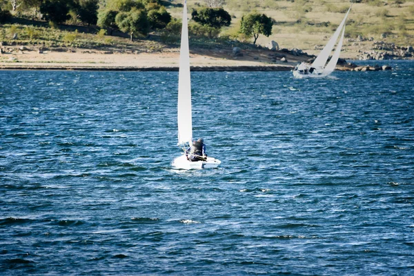 Sail boat during a local race on a lake — ストック写真