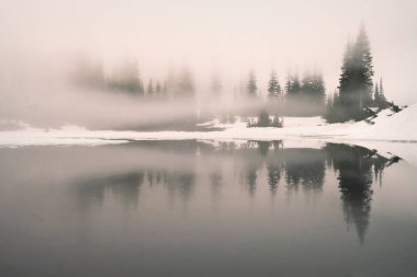 Yansıma Gölü Rainier Dağı Milli Parkı'nda kalın gündoğumu sis