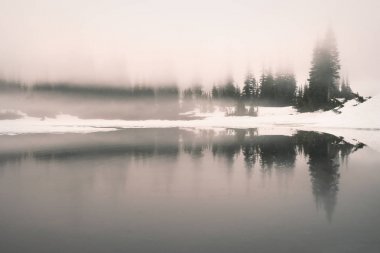 Yansıma Gölü Rainier Dağı Milli Parkı'nda kalın gündoğumu sis