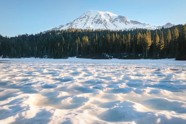 Mount Rainier Haziran ayında karla kaplı yansıma Gölü