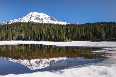 Mount Rainier Haziran ayında karla kaplı yansıma Gölü