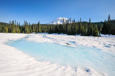Mount Rainier Haziran ayında karla kaplı yansıma Gölü