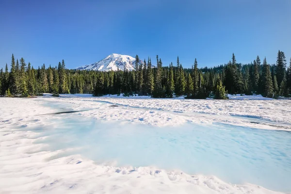 Mount Rainier Haziran ayında karla kaplı yansıma Gölü