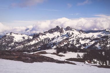 Tatoosh dağ silsilesi Rainier Dağı Milli Parkı'nda