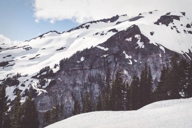 Kar ridge ön planda ağaçları ile kaplı