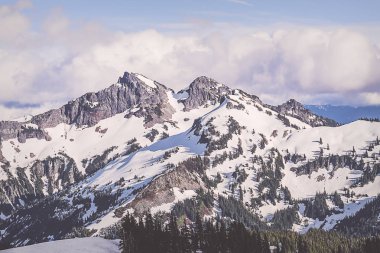 Tatoosh dağ silsilesi Rainier Dağı Milli Parkı'nda