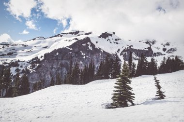 Kar ridge ön planda ağaçları ile kaplı