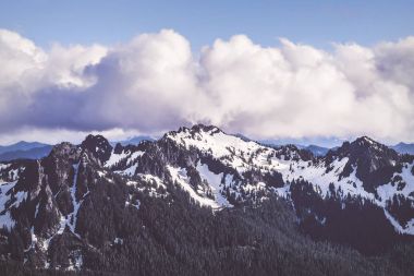 Tatoosh dağ silsilesi Rainier Dağı Milli Parkı'nda