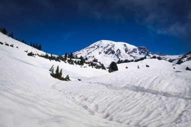 Mount Rainier ile karla kaplı bir göl ön planda