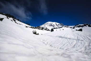 Mount Rainier ile karla kaplı bir göl ön planda