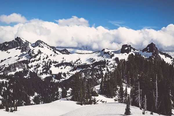 Tatoosh dağ silsilesi Rainier Dağı Milli Parkı'nda