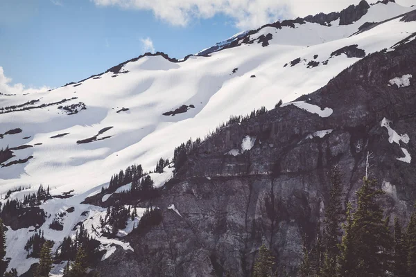 Kar ridge ön planda ağaçları ile kaplı