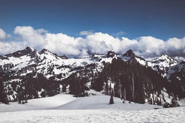 Tatoosh dağ silsilesi Rainier Dağı Milli Parkı'nda