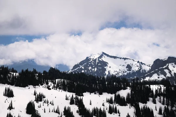 Cordilheira de Tatoosh no Parque Nacional Mount Rainier — Fotografia de Stock