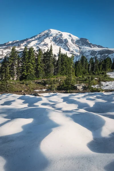 Mount Rainier ile bir kar ve ağaçlar ön planda