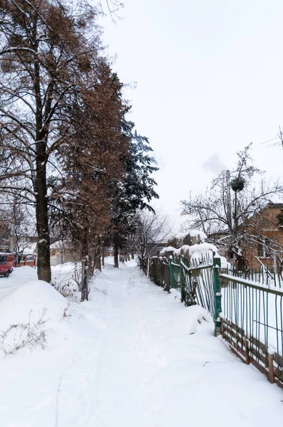 Snow covered courtyard in the village. Snowy street. — Stock Photo, Image