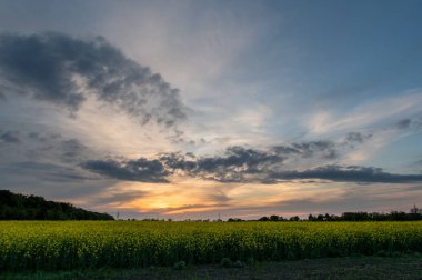 Sahada dramatik bir hava var. Tecavüz gökyüzü üzerinde alışılmadık bir gökyüzü.