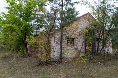 Çernobil 'de terk edilmiş bir evin kalıntıları. Eski bir evin kalıntıları..