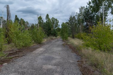 Köye giden eski yol. Terk edilmiş bir şehre giden yol.