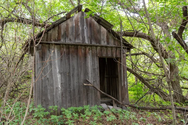 Παλιό ξύλινο υπόστεγο στο δάσος. Ξύλινη τουαλέτα στο δάσος. — Φωτογραφία Αρχείου