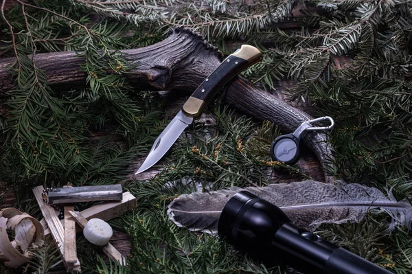 Hunting knife and deer horns. Hunter tools. Coniferous background. — Stockfoto