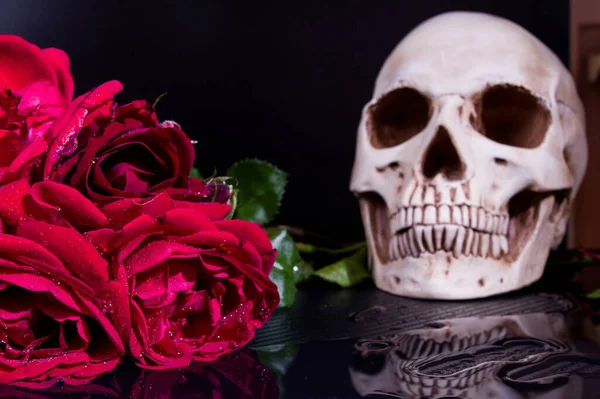 Calavera y flores. Calavera humana y rosas rojas . — Foto de Stock