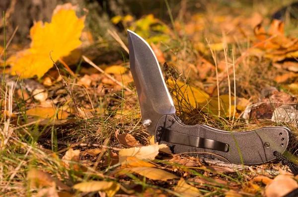 Coltello Affilato Sul Terreno Terra Erba Foglie Angolo Insolito Del — Foto Stock