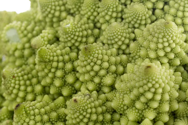 Macro foto de Brassica oleracea. Textura e padrão de Brassica oleracea . — Fotografia de Stock