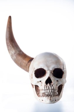 Tek boynuzlu insan kafatası. Kafatası ve boynuz. Ön görünüm.