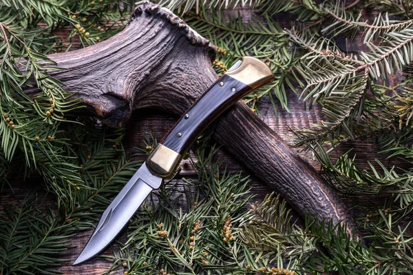 A sharp folding knife on a deer horn. Folding hunting knife on a deer horn. Needles and horn.