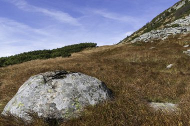 Çimlerin üzerinde büyük kayalık bir taş. Taş bir kaide gibi. Ön planda yuvarlak bir taş Dağlarda çimlerde.