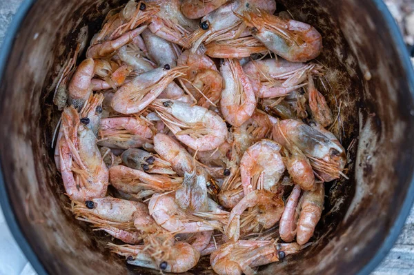Beaucoup Crevettes Cuites Dans Une Casserole Vue Haut Lumière Jour — Photo