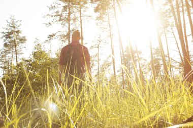 Ormanda batımını turizm