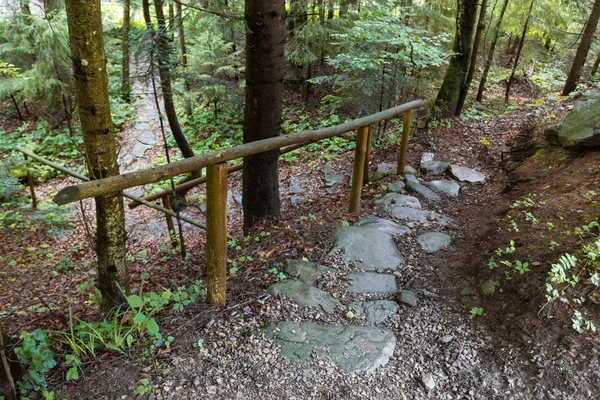 Camino del Bosque de Piedra en el bosque de montaña . — Foto de Stock