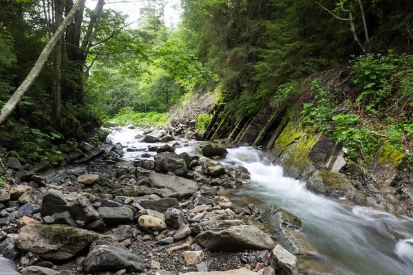 El río de montaña en un cañón, bosque denso . — Foto de Stock