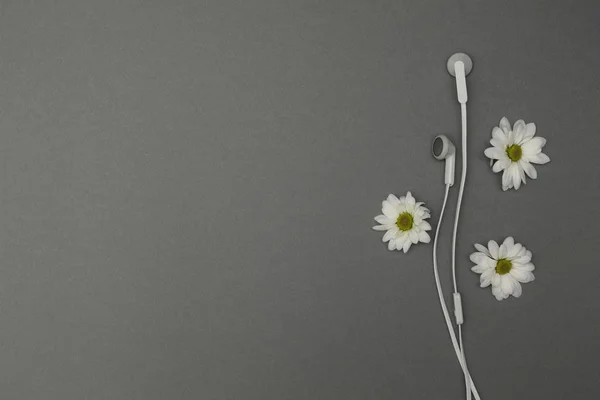 Auriculares con flores sobre fondo gris . — Foto de Stock