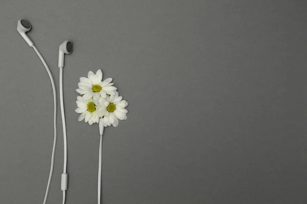 Çiçekler ve kulaklık, yerleştirmek için metni