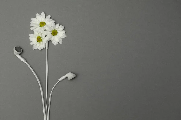 花とヘッドフォン、リラクゼーション — ストック写真