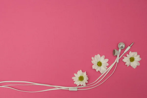 花とピンクの背景のヘッドフォン — ストック写真