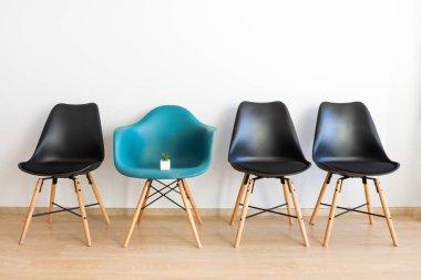 Bir sandalye üzerinde küçük kaktüs