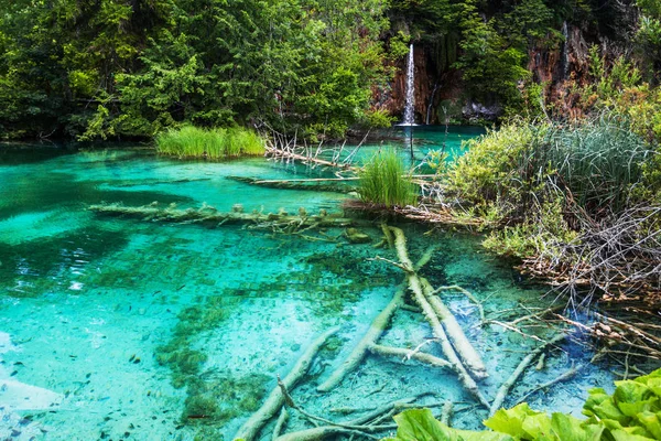 Cascada que fluye en el lago del bosque . —  Fotos de Stock
