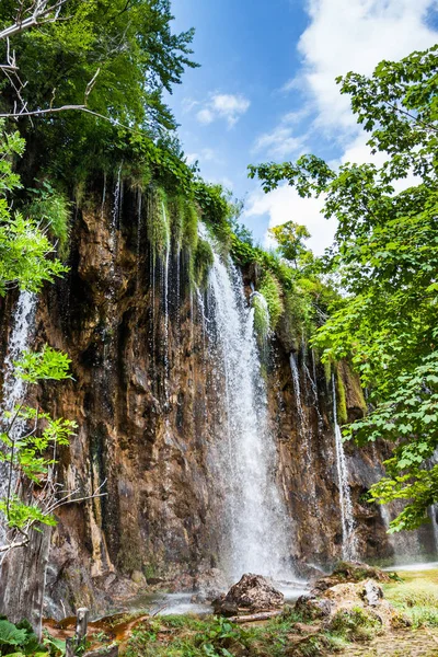 Forest Falls, Chorvatsko — Stock fotografie