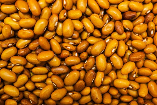 A lot of bean seeds — Stock Photo, Image