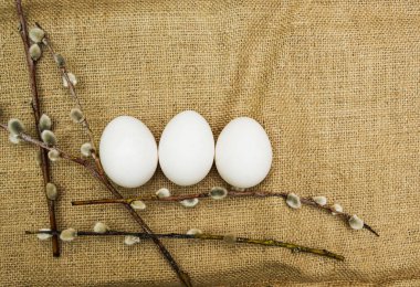 Willow ve yumurta, Paskalya arka plan.