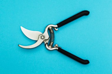 Mavi bir arka plan üzerinde izole metal secateurs. Ağaçların Bakımı ve