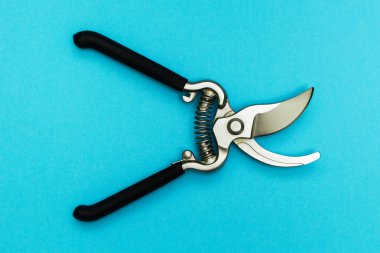 Mavi bir arka plan üzerinde izole metal secateurs. Ağaçların Bakımı ve